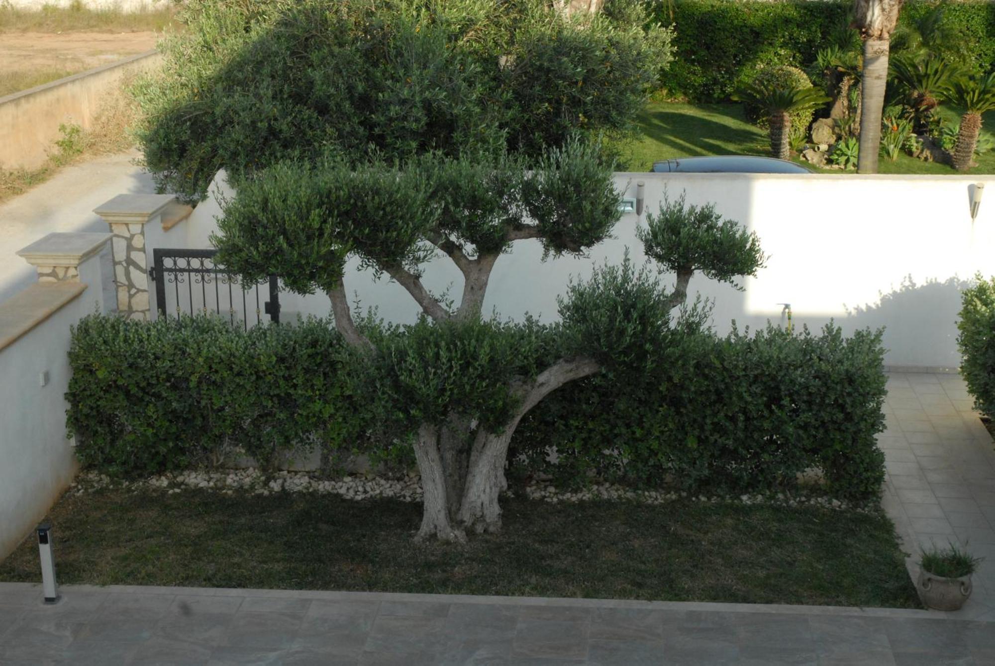 Oasi Tortuga Residence Piscina E Barbecue H24 مازارا ديل فالو المظهر الخارجي الصورة